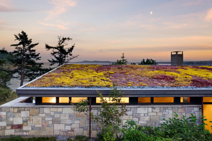 the shallow offset roof garden