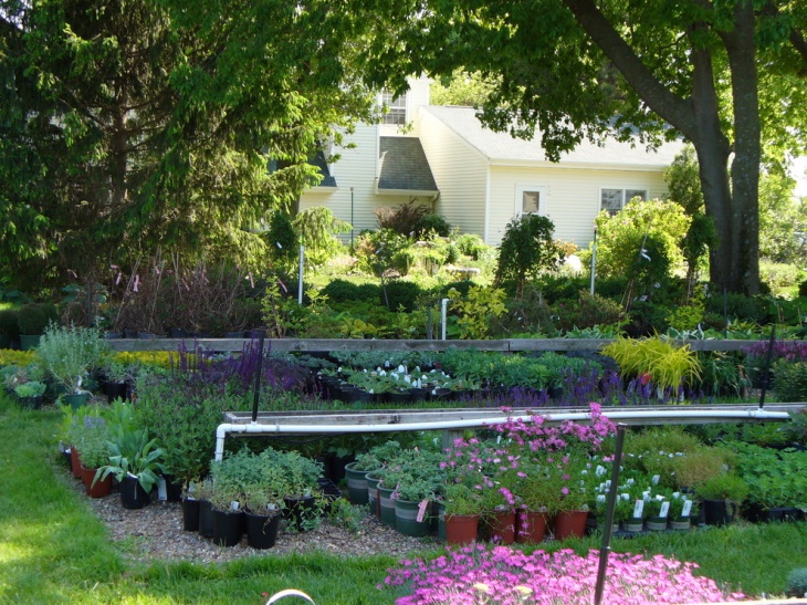 gardening beds perennial idea