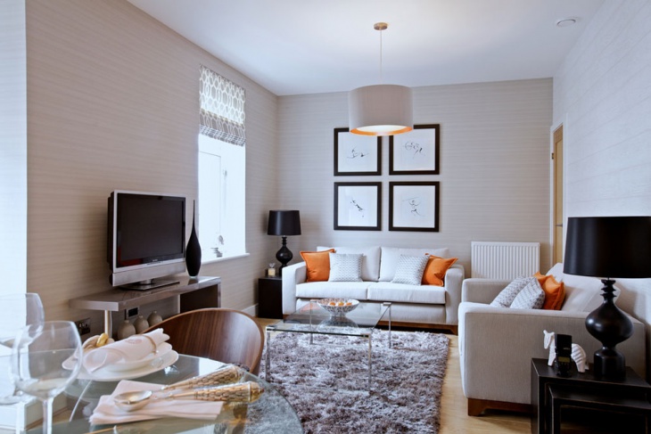 small living room compact idea