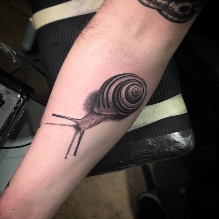 snail tattoo on forearm