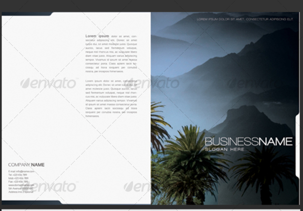 Half Fold Business Brochure