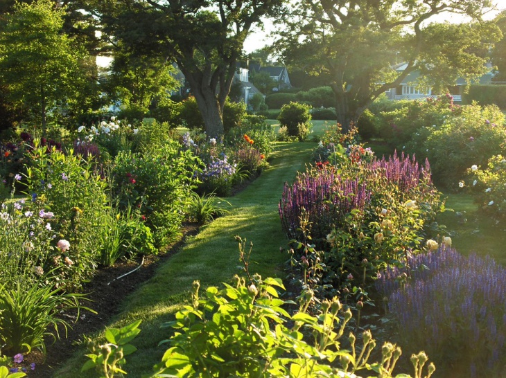 perennials english garden