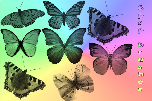 free photoshop butterfly brushes