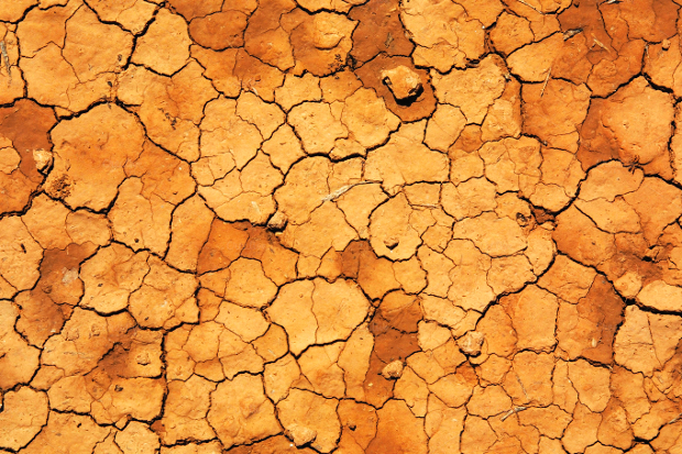 dry cracks earth texture