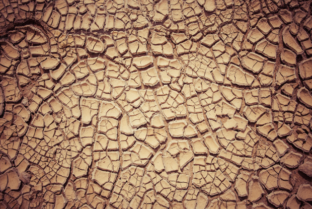 dry cracked mud texture