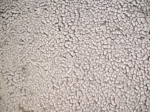 white cracked mud texture