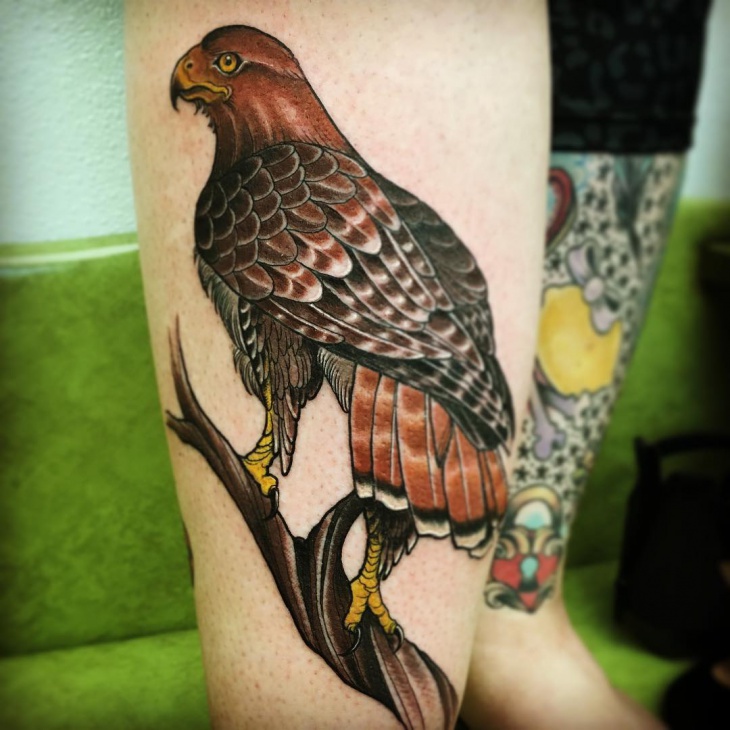 red tail hawk tattoo