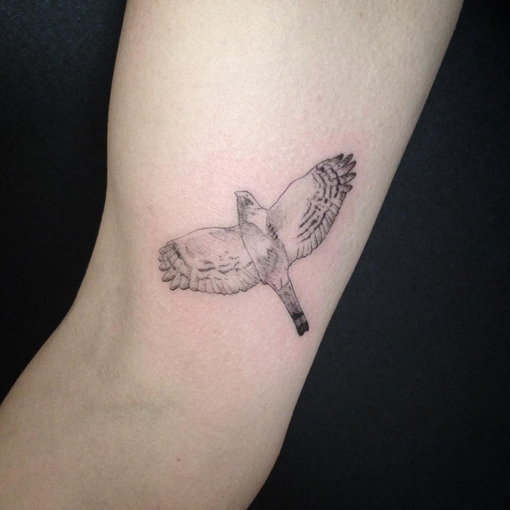small hawk tattoo design