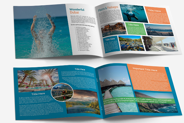 Travel Agency Brochure