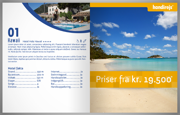 Travel Company Brochure
