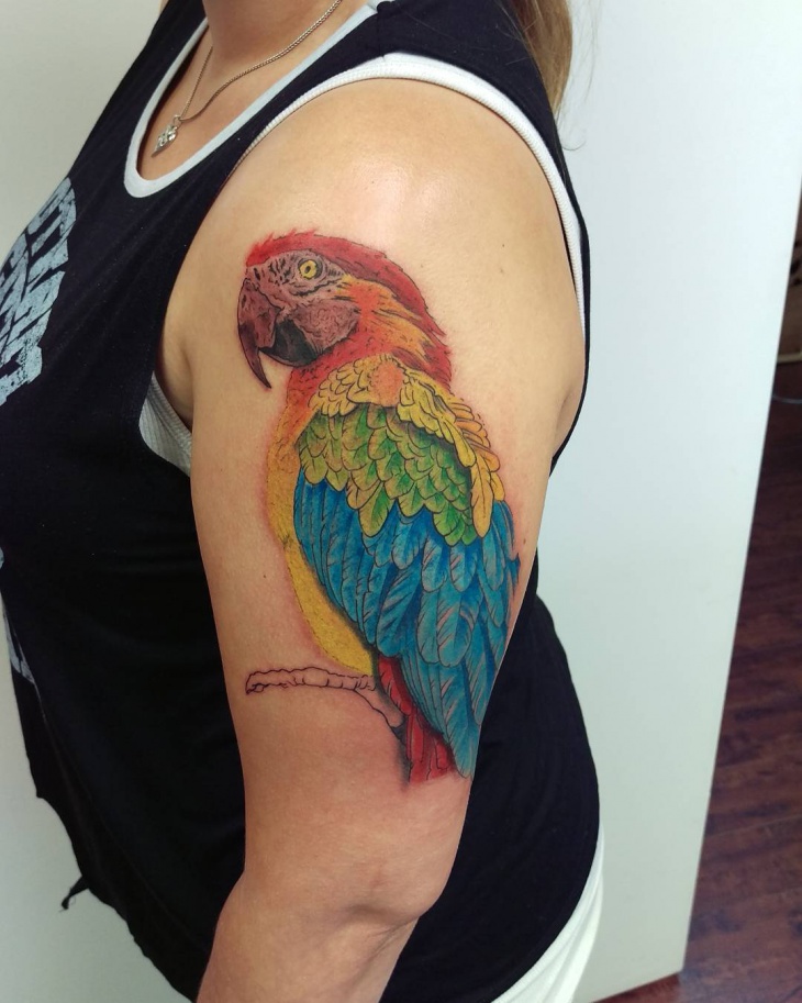 parrot tattoo on shoulder