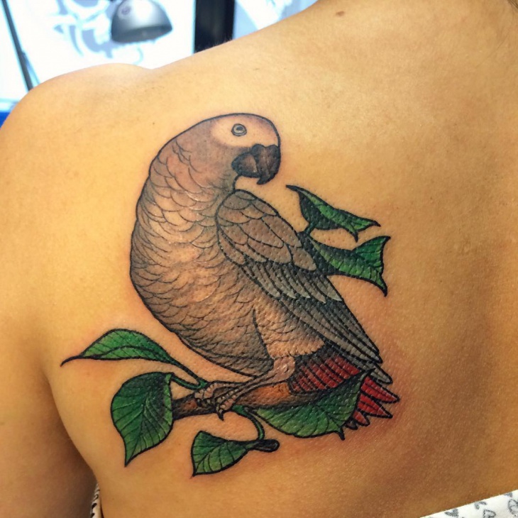 parrot tattoo for back