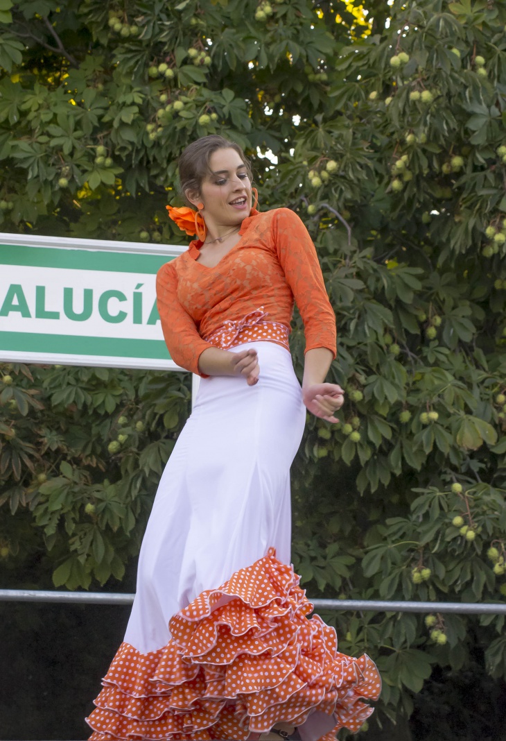 flamenco dance dress