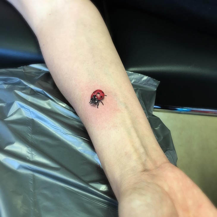 cute ladybug tattoo idea