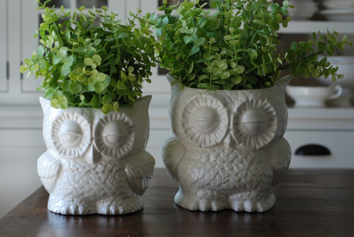 owl planters 