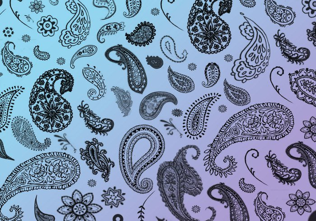 paisley brushes pack