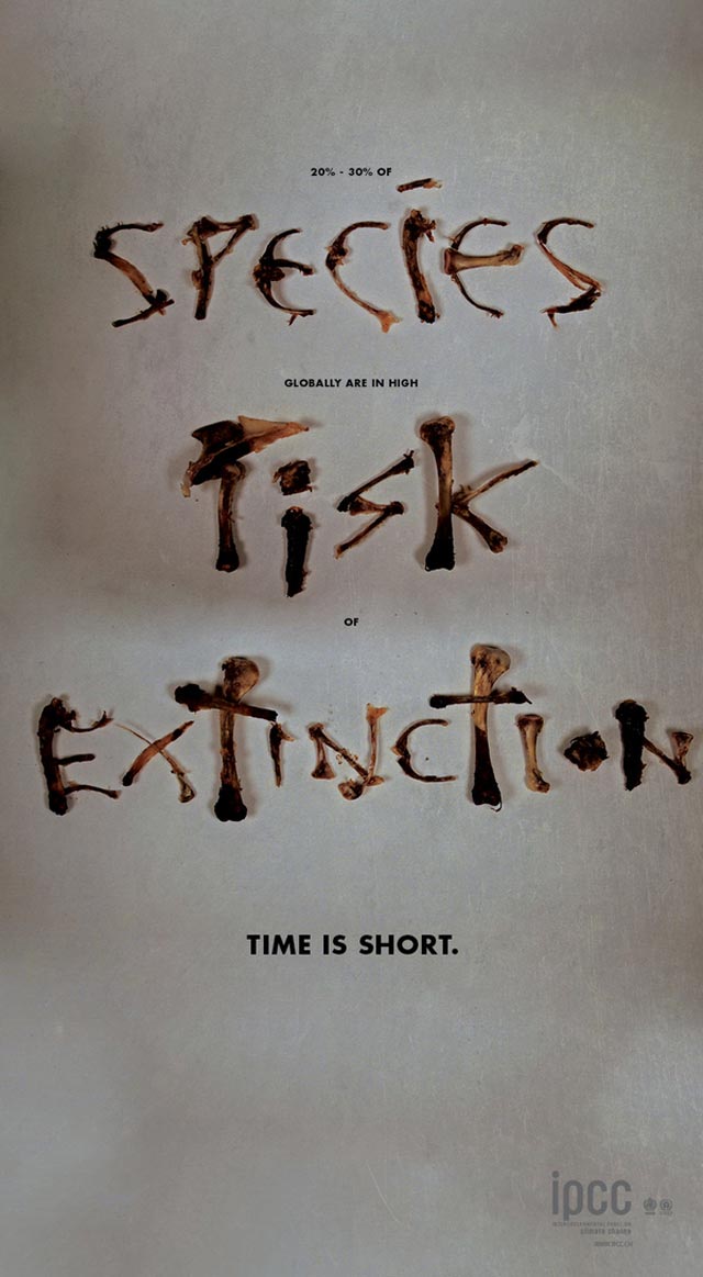 species risk extinction