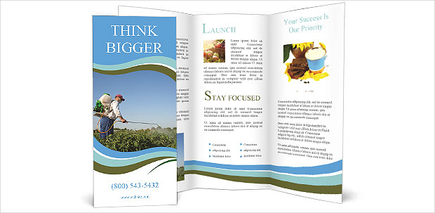 vegetables garden brochure template