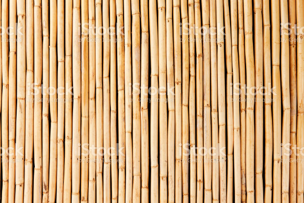 bamboo cane texture design
