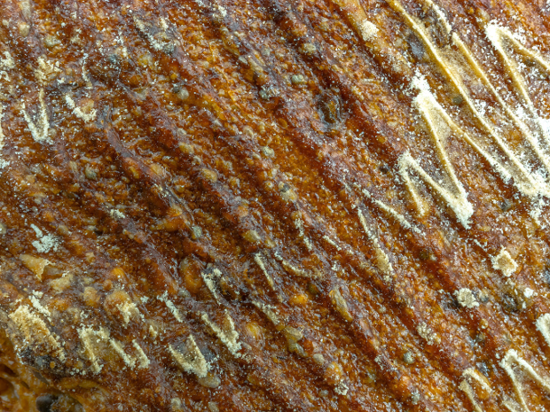 ecological bread texture