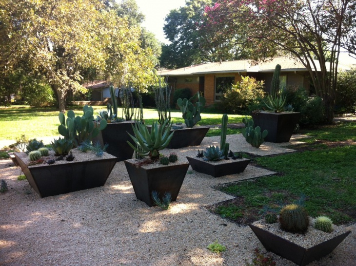 cactus container garden 