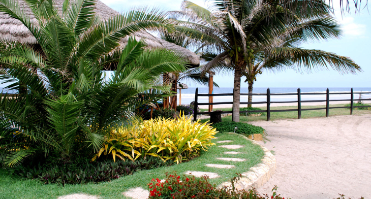 16 Beach Garden Designs Ideas, Palm Beach Landscaping Design