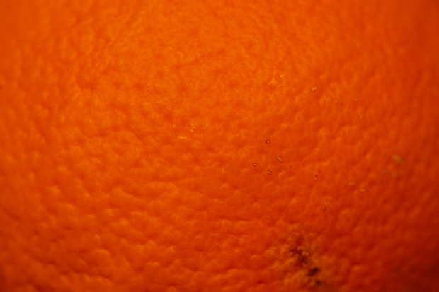 orange peel fruit surface texture