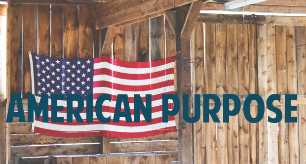 american purpose font