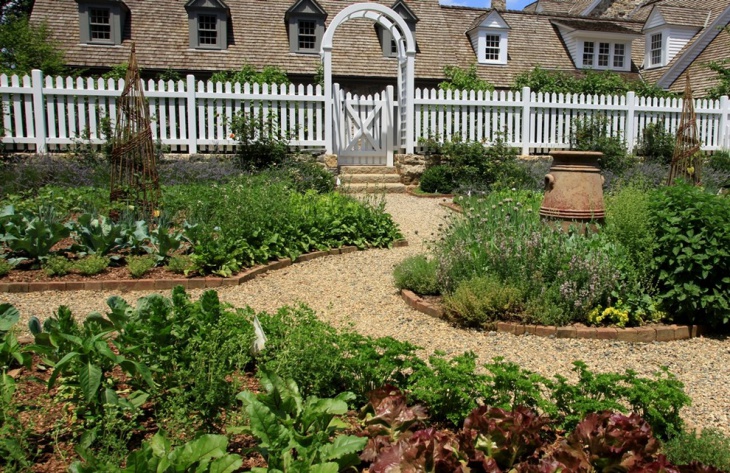 lavender vegetable garden design