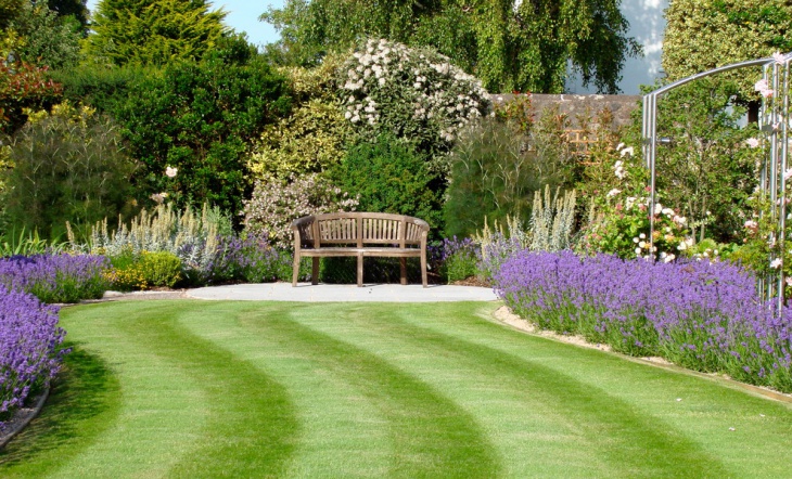 formal lavender garden