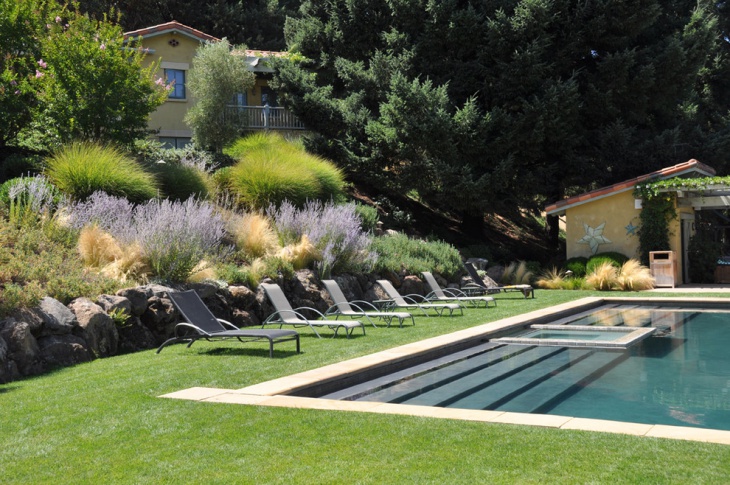 lavender pool garden design