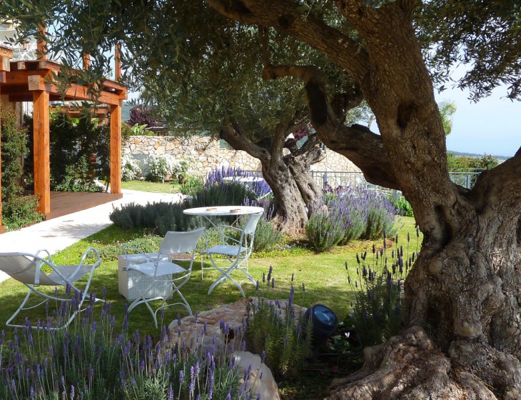 simple lavender garden design