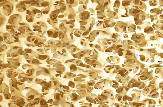 high resolution bone texture