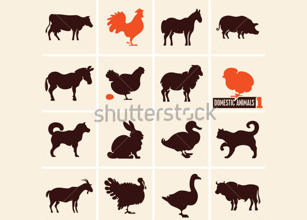 farm animal icons