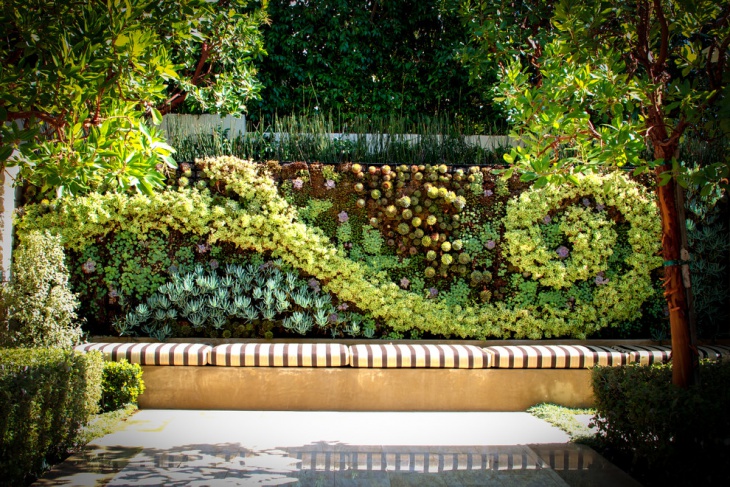 succulent wall garden idea