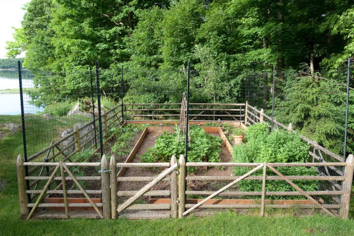 rustic garden fence 