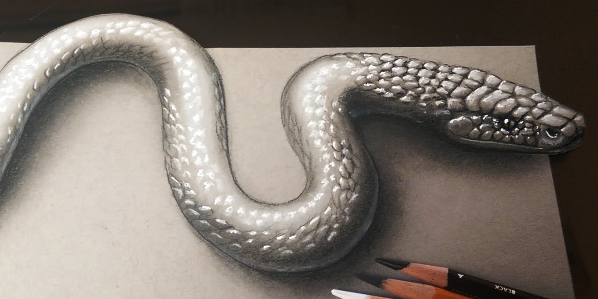 3d snake art