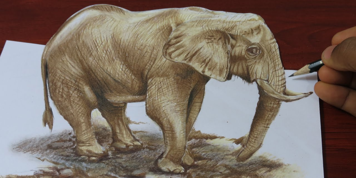 3d elephant drawing