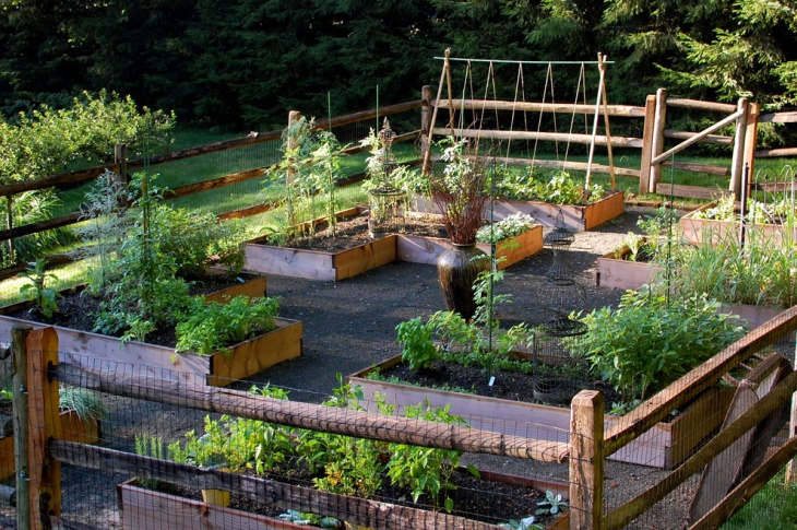 square vegetable garden1