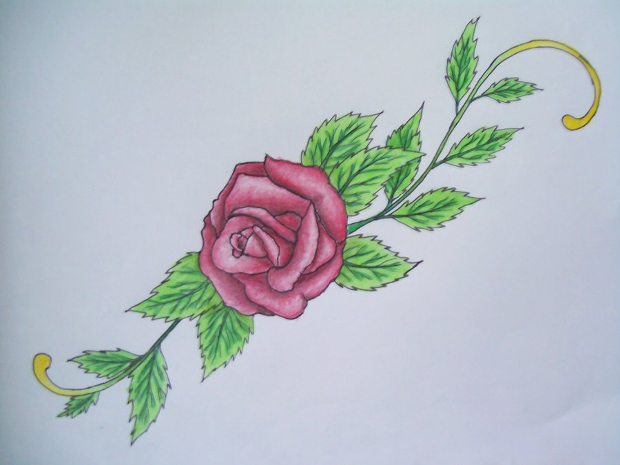 rose vine drawing 