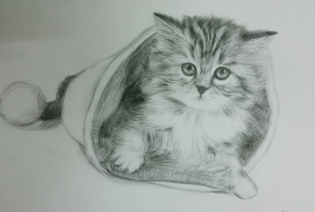 cute cat drawing