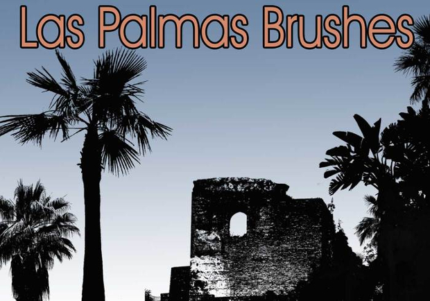 palm tree brushes