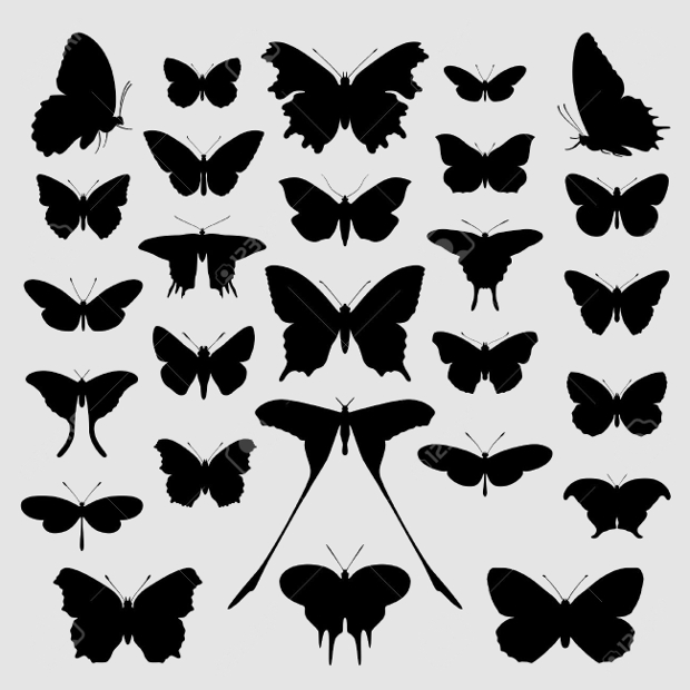 black and white butterfly clipart