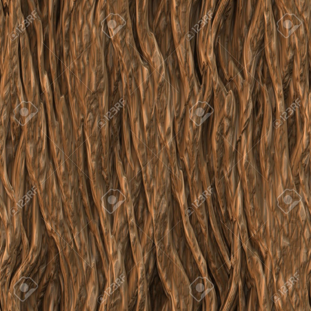 tree bark wood texture 