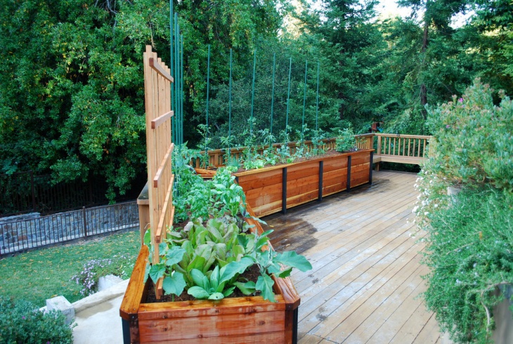 balcony vegetable garden design