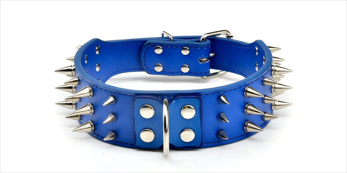 pet kingdom blue leather spiked dog collar