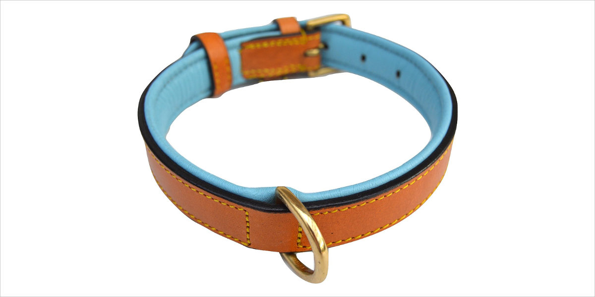 luxury real leather padded dog collar – the capri collection