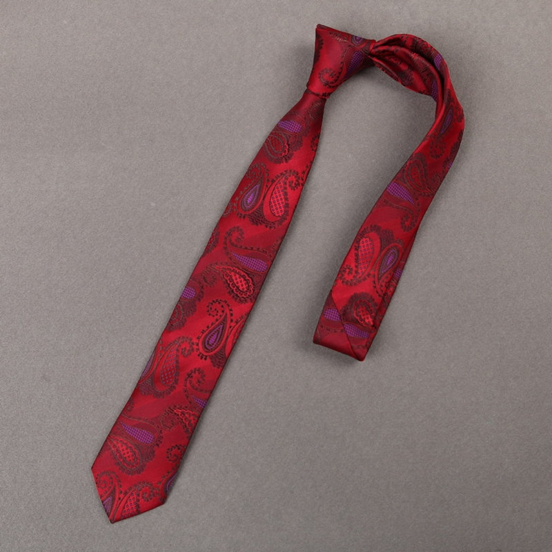 paisley skinny tie for men