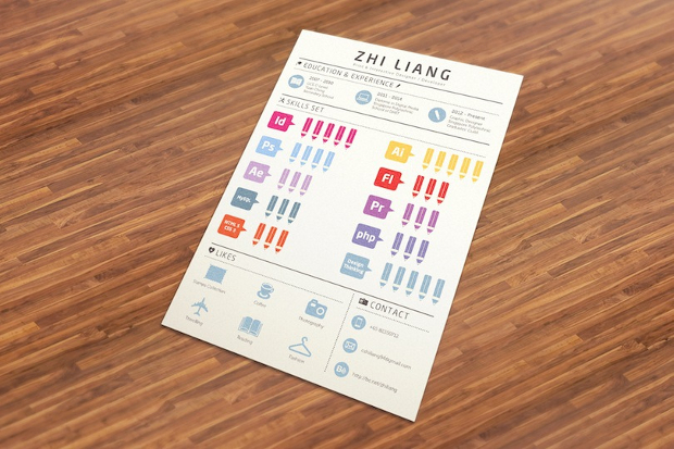 simple resume infographic design