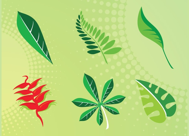 plant leaves vector